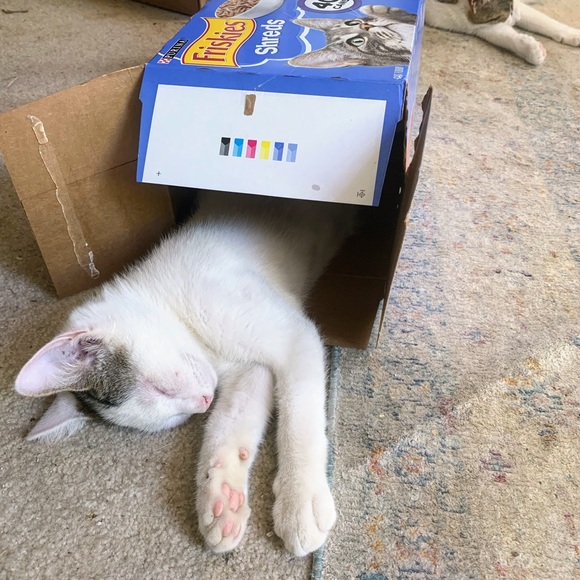 😍See something you must have? - Picture 7 of 16